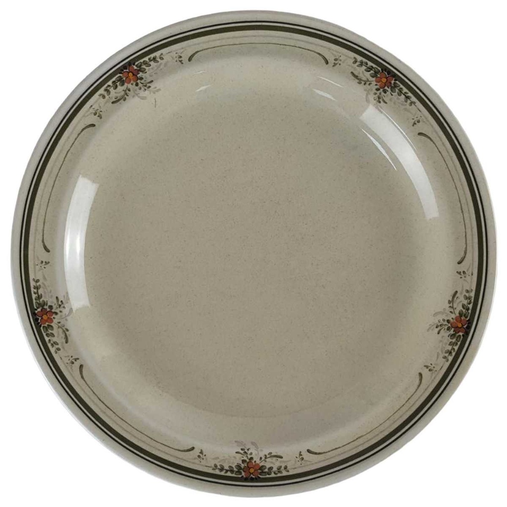 Speiseteller Essteller 24,5 cm Winterling Röslau braun Blumendekor Blumen gebraucht - sehr gut