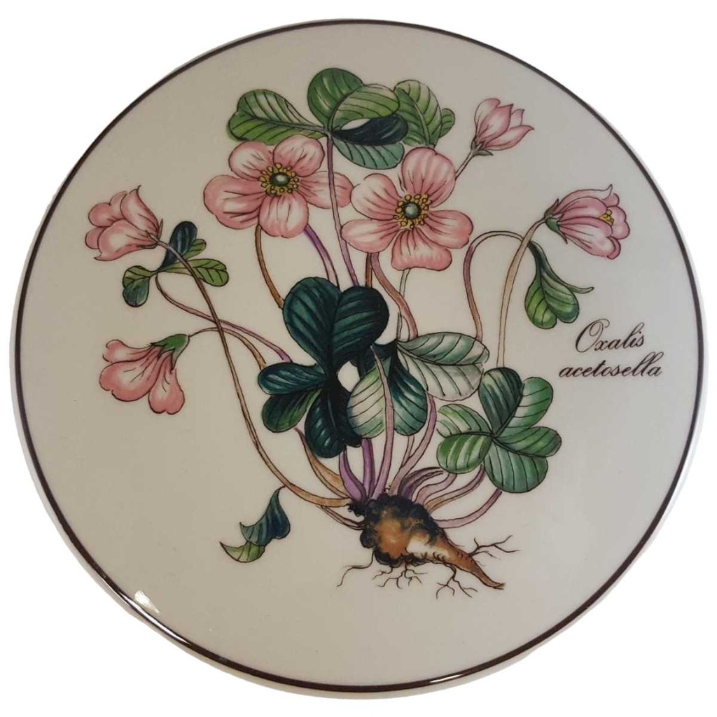 [4581461] Deckeldose groß Villeroy & Boch Botanica I.Wahl gebraucht - sehr gut