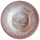 Suppenteller 22,4 cm English Ironstone Tableware (EIT) EIT England Four Seasons Spring On The Home Farm Rot gebraucht - gut