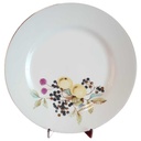 Speiseteller Essteller Goldrand 23,1 cm Graf von Henneberg und Obstdekor gebraucht - gut