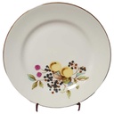 Kuchenteller Dessertteller Frühstücksteller Goldrand 19,2 cm Graf von Henneberg und Obstdekor gebraucht - gut