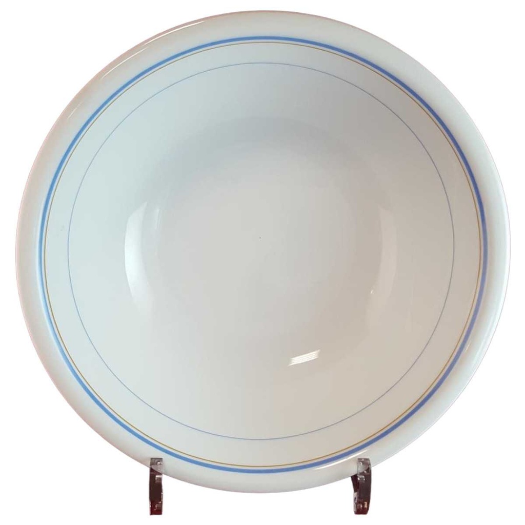 Schüssel Servierschüssel 23,6 cm Seltmann Weiden Blau Braun Rand Weiß gebraucht - gut