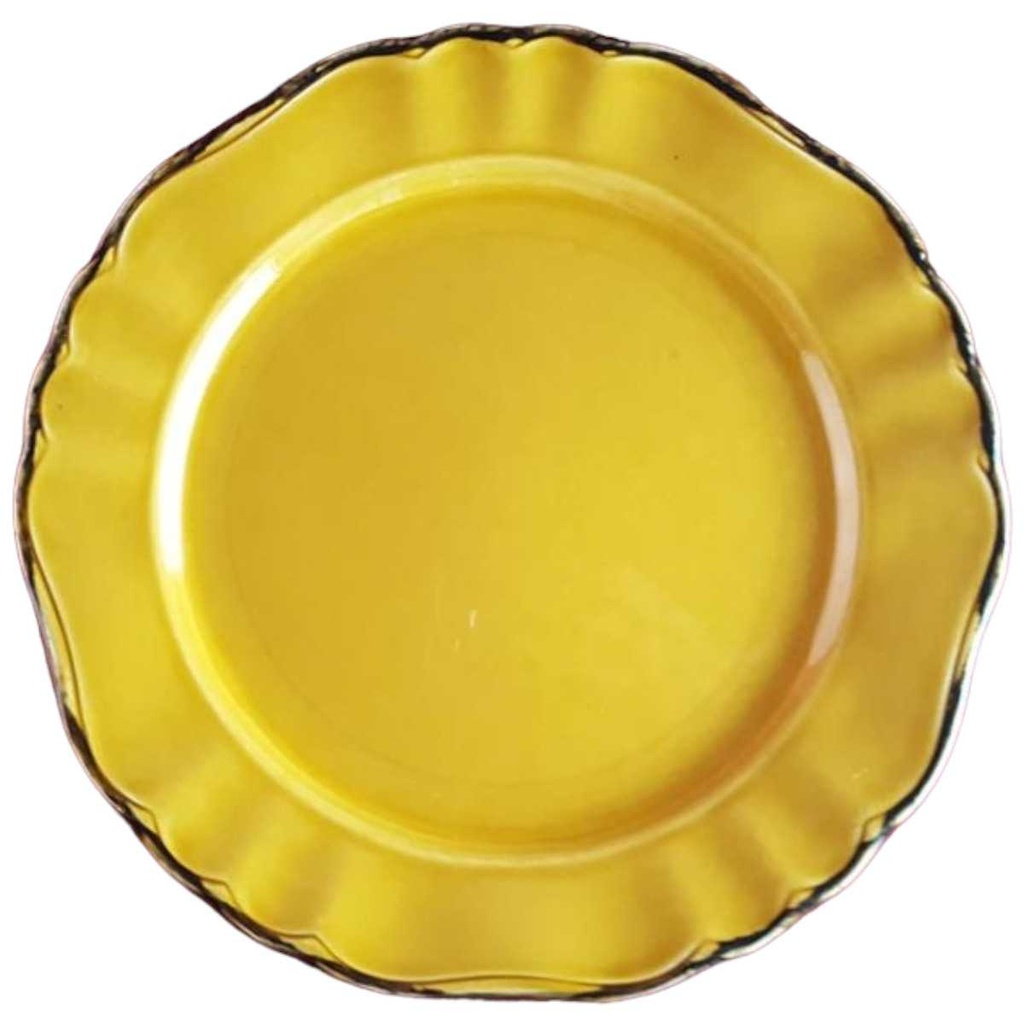 [45814719] Speiseteller Essteller 24 cm Pagnossin Earthenware honigbraun mit braunem Rand Braun gebraucht - gut