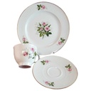 Sammelgedeck 3tlg Seltmann Weiden Annabell rosa Rose gebraucht - gut