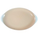 Servierplatte Speiseplatte Fleischplatte 34x21,2 cm Villeroy & Boch Mettlach Saar Apricot gebraucht - gut