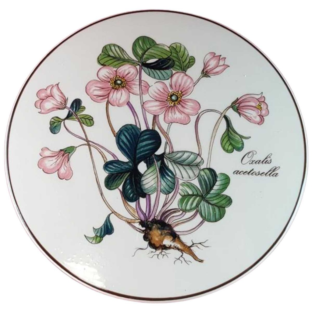 [45815634] Bonboniere Villeroy & Boch Botanica gebraucht - gut