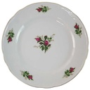 Speiseteller Essteller 24,4 cm Seltmann Weiden Wien Moosrose 26477 gebraucht - akzeptabel