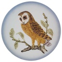 Wandteller Sammelteller Goebel gebraucht - gut