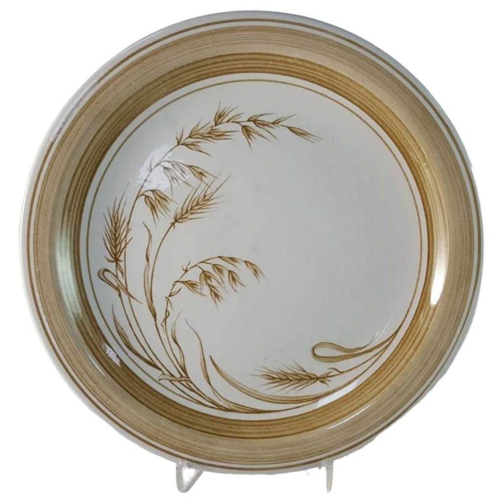 [45815985] Speiseteller Essteller mikrowellengeeignet 24,5 cm Churchill England Windrush gebraucht - akzeptabel