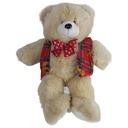 Teddybär Plüschbär Stoffbär H ca. 45 cm