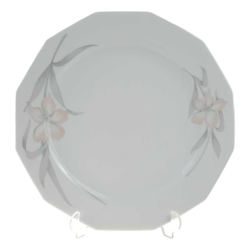 Speiseteller Essteller 25 cm Winterling Kirchenlamitz gebraucht - gut