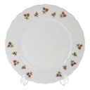 Kuchenteller Dessertteller 19,3 cm Eschenbach Moosrose Blumen gebraucht - gut