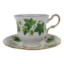 Sammeltasse mit Untertasse 2tlg Queen Anne Bone China Trauben gebraucht - gut