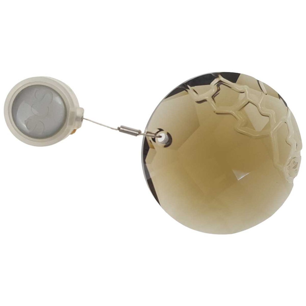 [458169202] Fensterornament Mitgliedschaftsgeschenk Swarovski SCS Erde Ornament Braun gebraucht - gut
