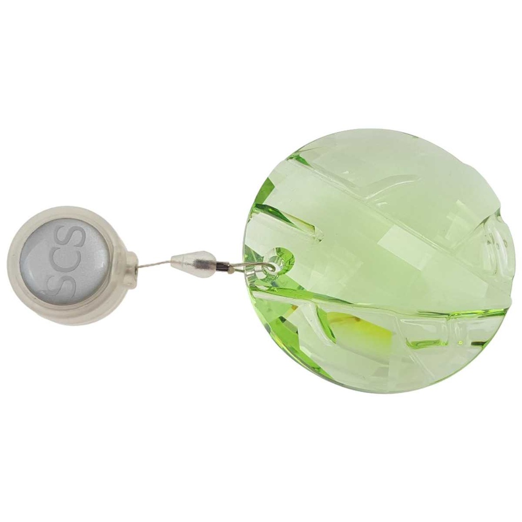 [458169208] Fensterornament Mitgliedschaftsgeschenk Swarovski SCS Bambus Grün gebraucht - gut