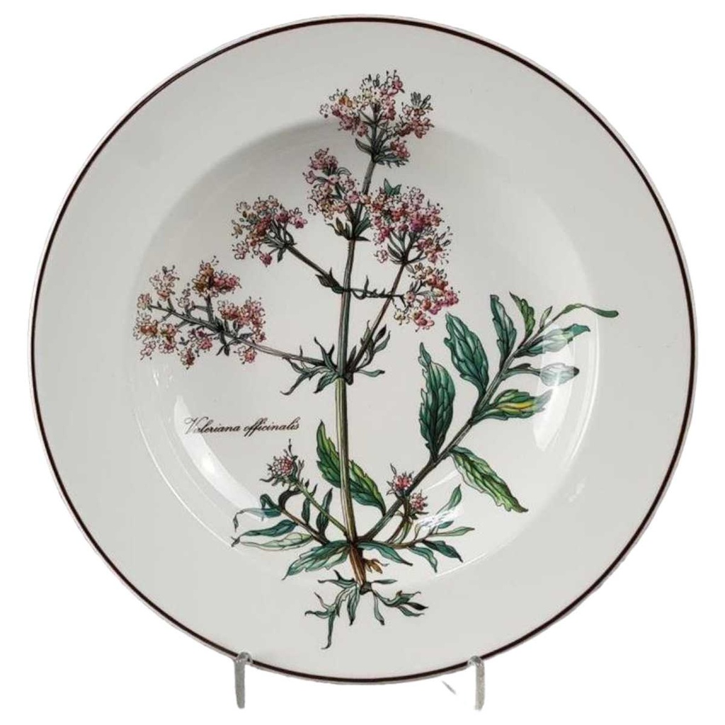 [45816933] Suppenteller 22 cm Villeroy & Boch Botanica gebraucht - gut