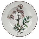Suppenteller 22 cm Villeroy & Boch Botanica gebraucht - gut