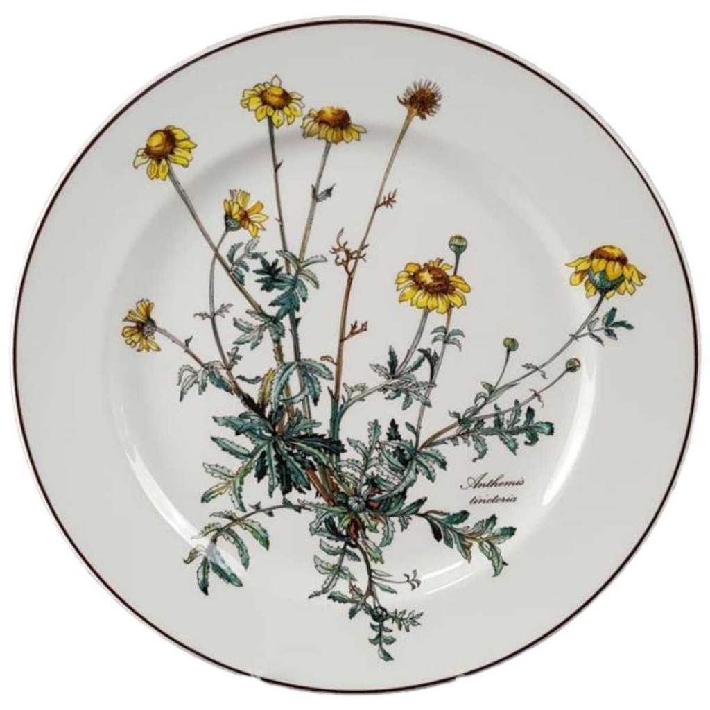 Speiseteller Essteller 24,2 cm Villeroy & Boch Botanica I. Wahl