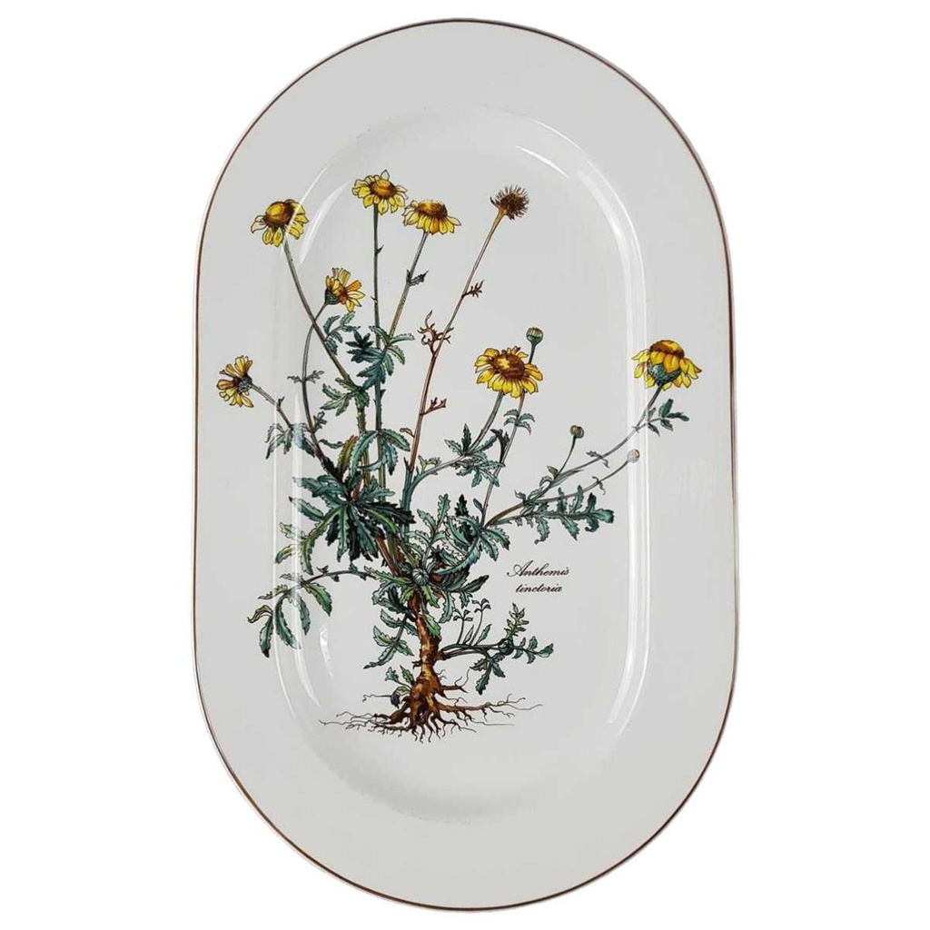 [45816936] Fleischplatte 33,2x22,4 cm Villeroy & Boch Botanica gebraucht - gut