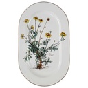 Fleischplatte 33,2x22,4 cm Villeroy & Boch Botanica gebraucht - gut