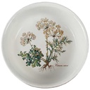 Schüssel klein 17 cm Villeroy & Boch Botanica gebraucht - akzeptabel