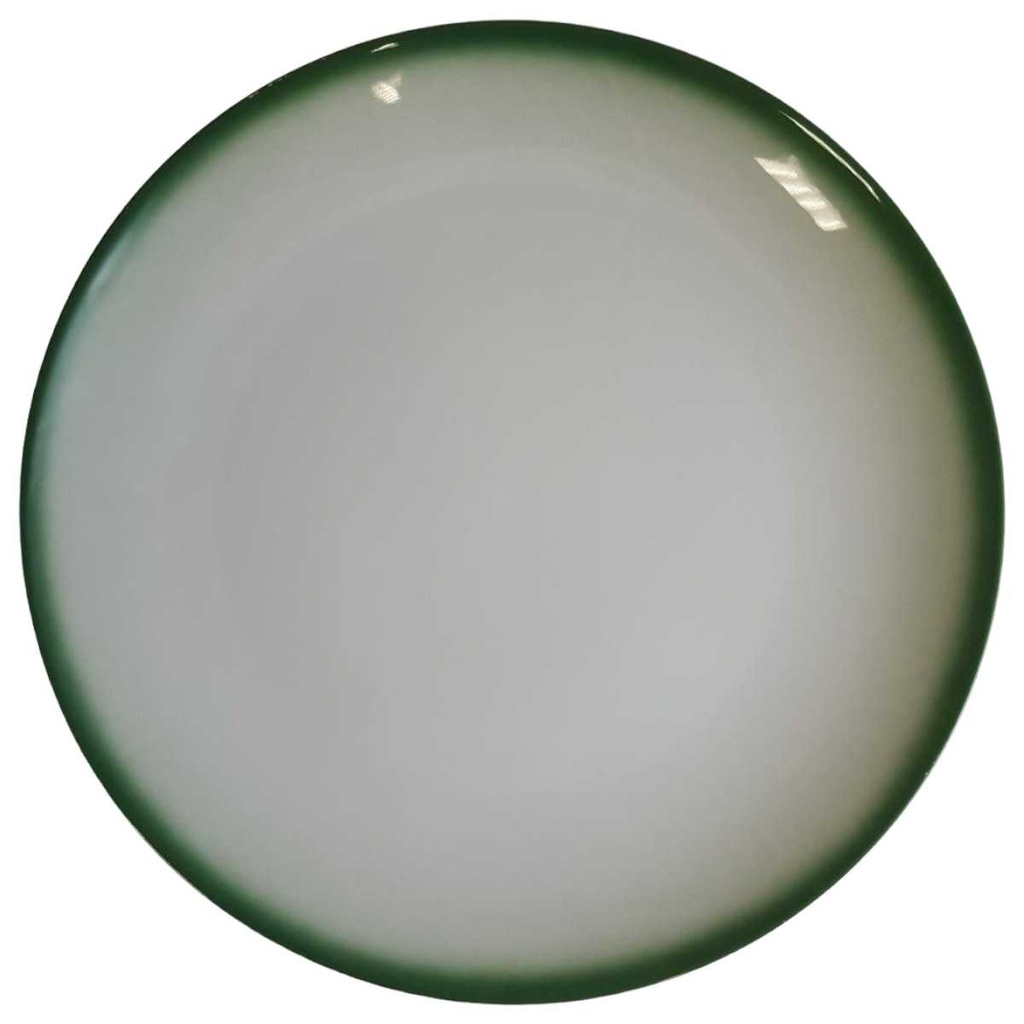 Speiseteller Essteller 25 cm Melitta Lindau Grüner Rand gebraucht - gut