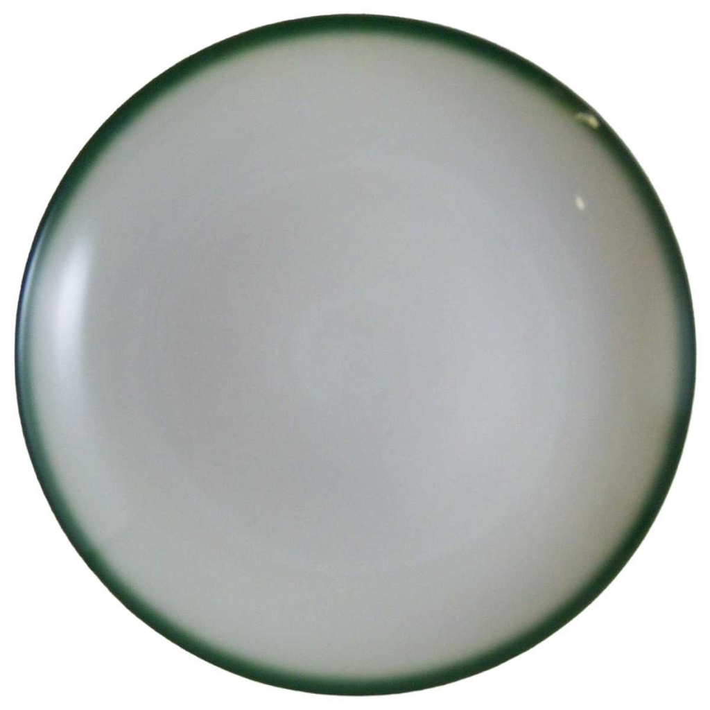[4581807] Suppenteller 22 cm Melitta Lindau Grüner Rand gebraucht - gut