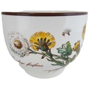 Schale Dipschale 8,8 cm Villeroy & Boch Botanica gebraucht - sehr gut