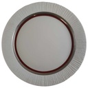 Speiseteller Essteller 22,8 cm Thomas Porzellan Arcta Platin Bordeaux gebraucht - gut