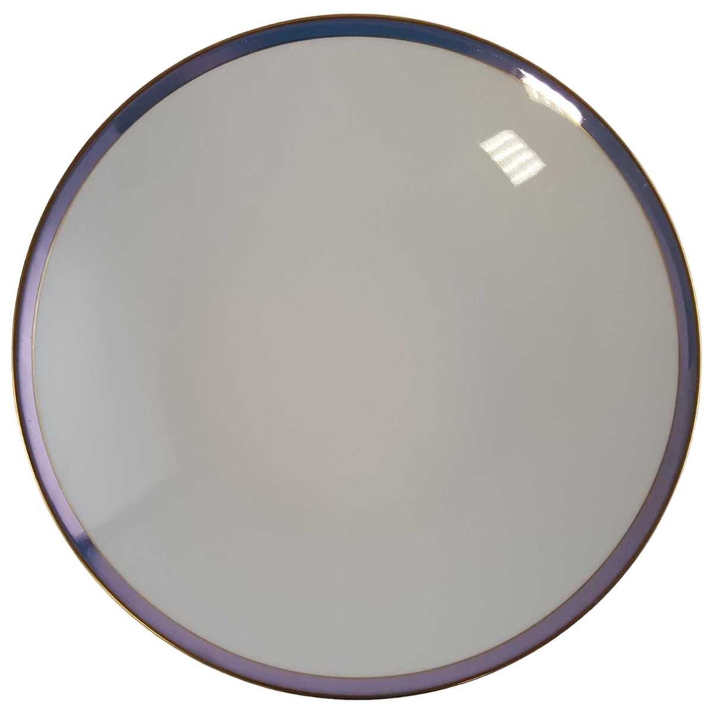 Suppenteller 22 cm Schumann Arzberg Blaurand gebraucht - gut