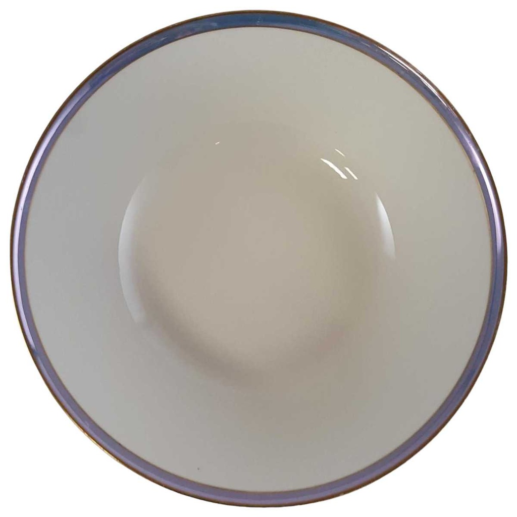 Schüssel Servierschüssel 21 cm Schumann Arzberg Blaurand gebraucht - gut