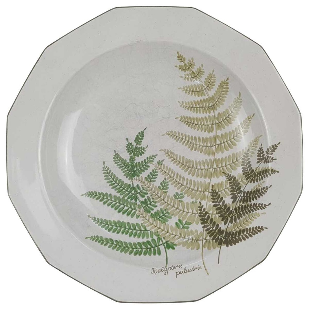 [98176] Suppenteller 22,5 cm Winterling Kirchenlamitz Farn Thelypteris palustris gebraucht - gut