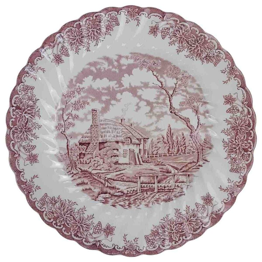 [98184] Speiseteller 25 cm Myott The Brook Rot England gebraucht - akzeptabel