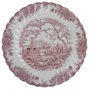 Speiseteller 25 cm Myott The Brook Rot England gebraucht - akzeptabel