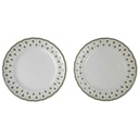 2er Set Kuchenteller Dessertteller 19,5 cm Winterling Röslau grüne stilisierte Lilie gebraucht - akzeptabel