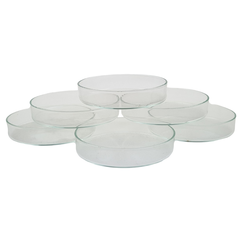 6er Set Petrischale Laborschale Laborglas Glasschale AR-Glas 75x15 mm