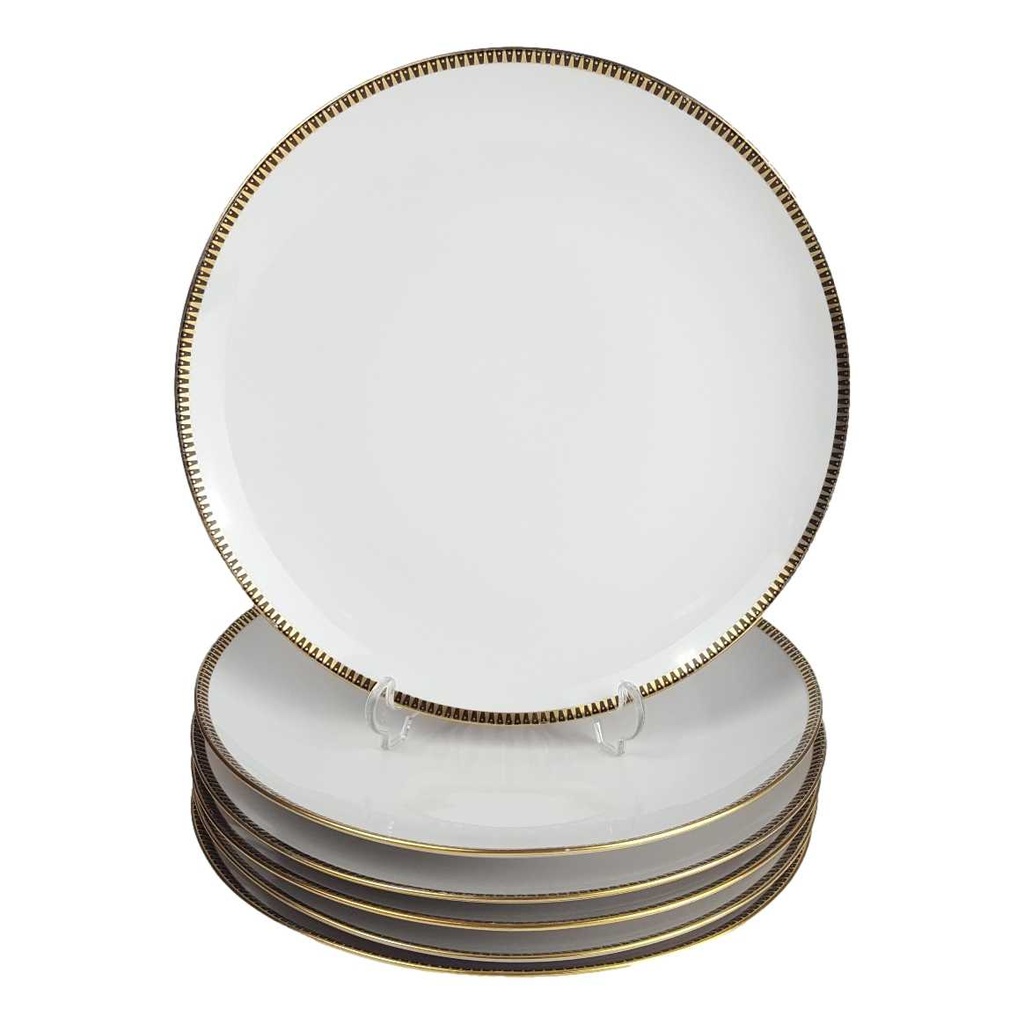 [458164181] 6er Set Speiseteller Essteller 24 cm Schumann Arzberg Form 3009 gebraucht - gut