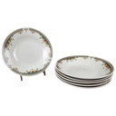 6er Set Suppenteller 22,8 cm China Pearl Bunte Blumen gebraucht - gut
