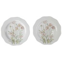 2er Set Kuchenteller Dessertteller Frühstücksteller 21 cm Villeroy & Boch Gallo Secunda Roter Mohn gebraucht - akzeptabel