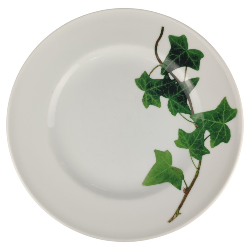 Speiseteller 26 cm Schönwald Dibbern Herbaticum Efeu