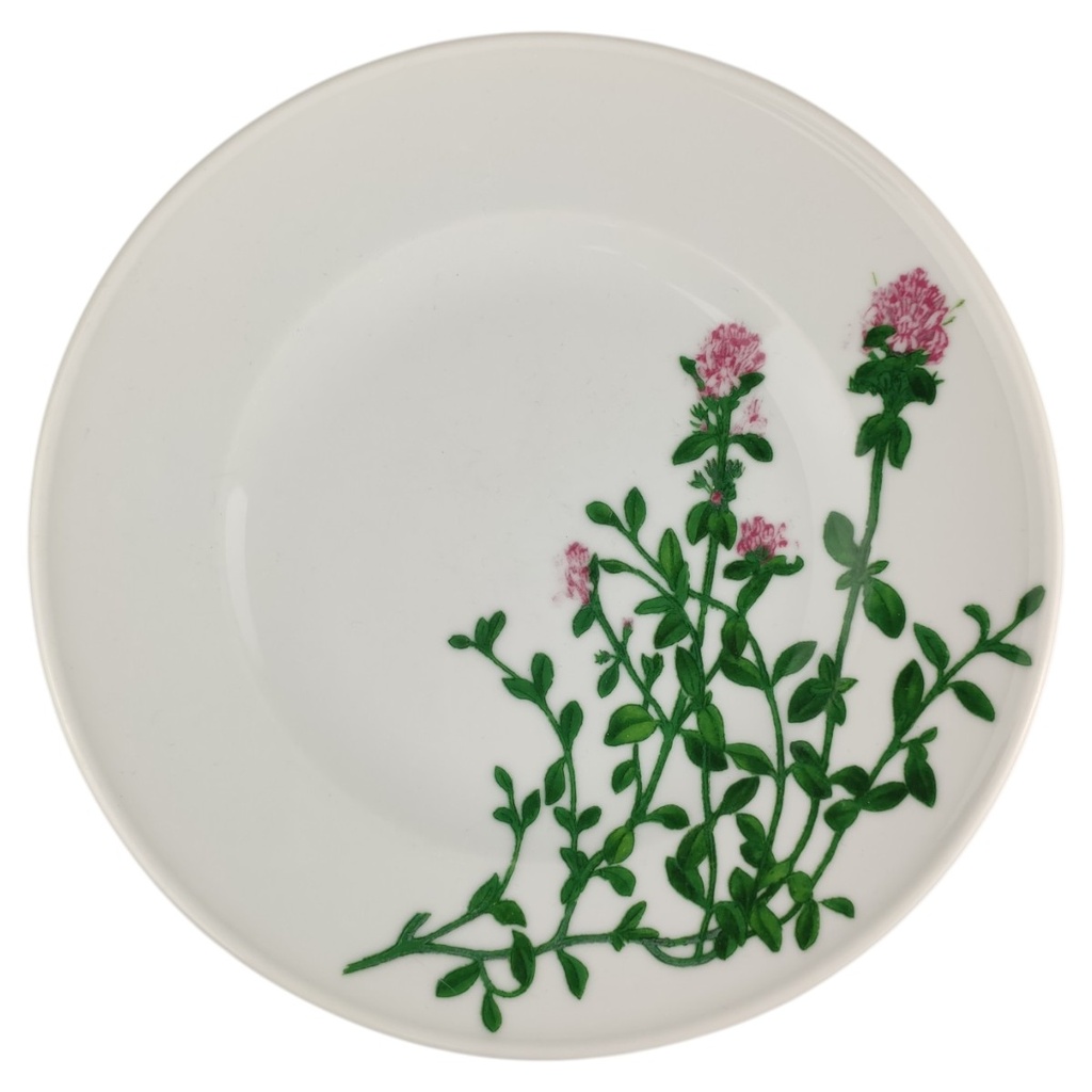 Kuchenteller 19 cm Dibbern Herbaticum Thymian