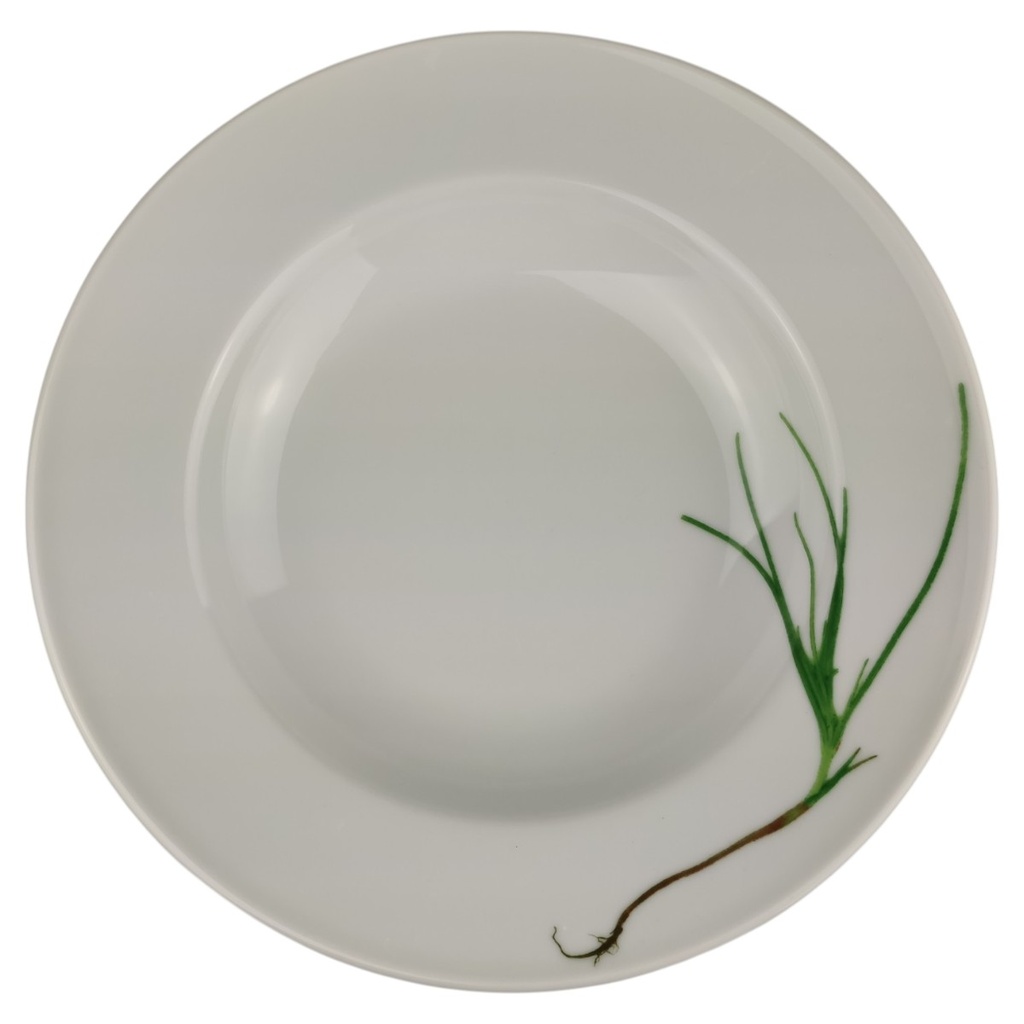 Suppenteller 23 cm Dibbern Herbaticum Schnittlauch