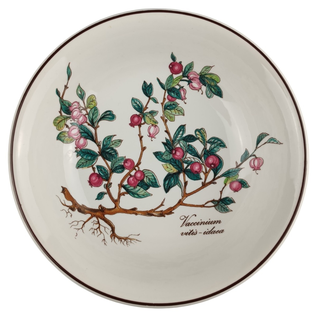 Dessertschale 14 cm Villeroy & Boch Botanica Vaccinium vitis idaea I. Wahl
