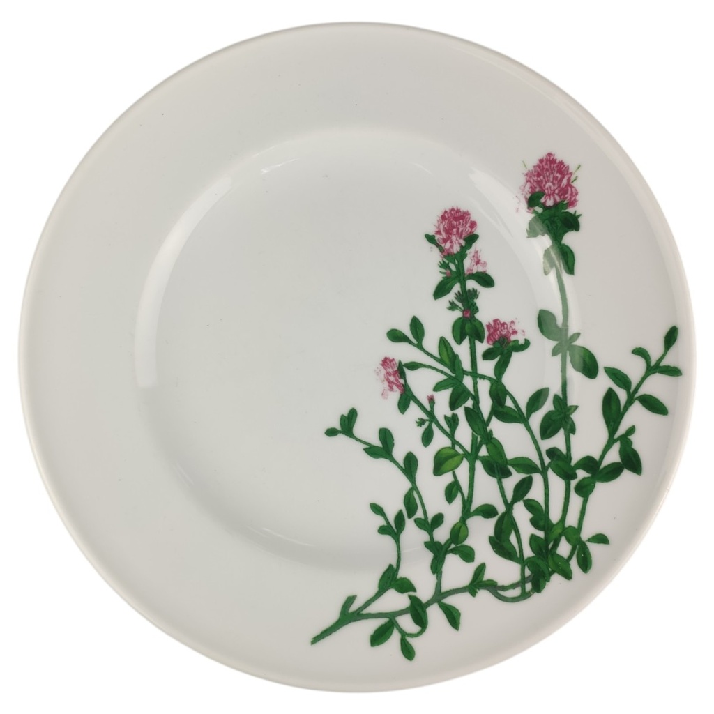 Speiseteller 26 cm Dibbern Herbaticum Thymian
