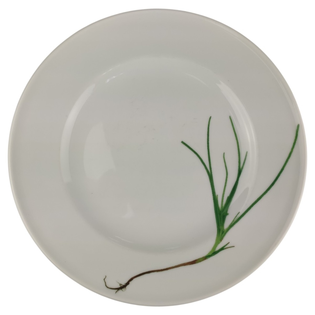 [1820786-2] Speiseteller 26 cm Dibbern Herbaticum Schnittlauch (gebraucht - sehr gut)